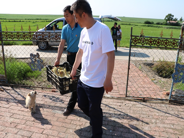 1561450220118625.jpg IMG_5304.JPG