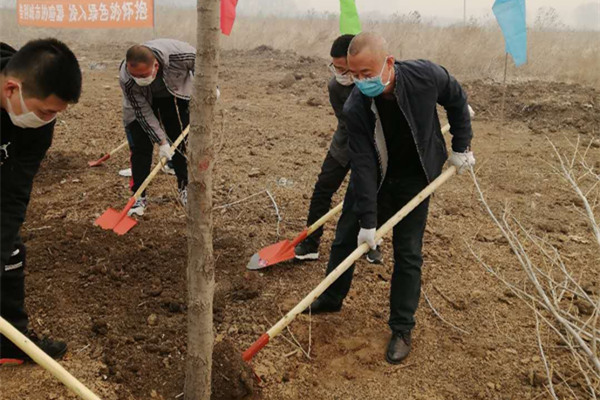 植树_副本.jpg